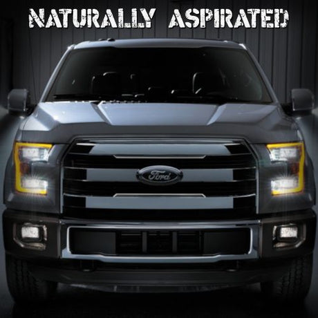 2015-2017 F150 5.0L - NATURALLY ASPIRATED TUNING