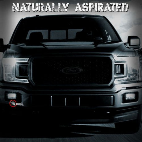2018-2020 F150 5.0L - NATURALLY ASPIRATED TUNING