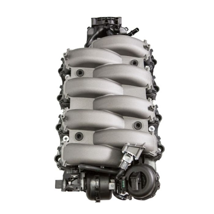Omega Speed Solutions GEN4 Oz Spec Kit - 2021-2025 F150 5.0L