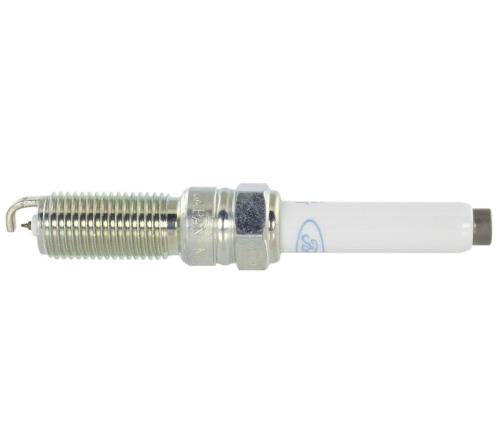 FORD PERFORMANCE VDE COLD SPARK PLUG SET (Pre-gapped) - 2021-2024 F150 5.0L